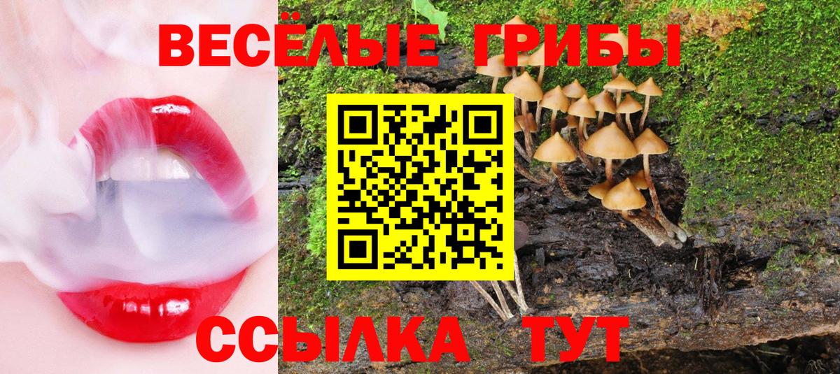 Галлюциногенные грибы Magic Shrooms Шебекино