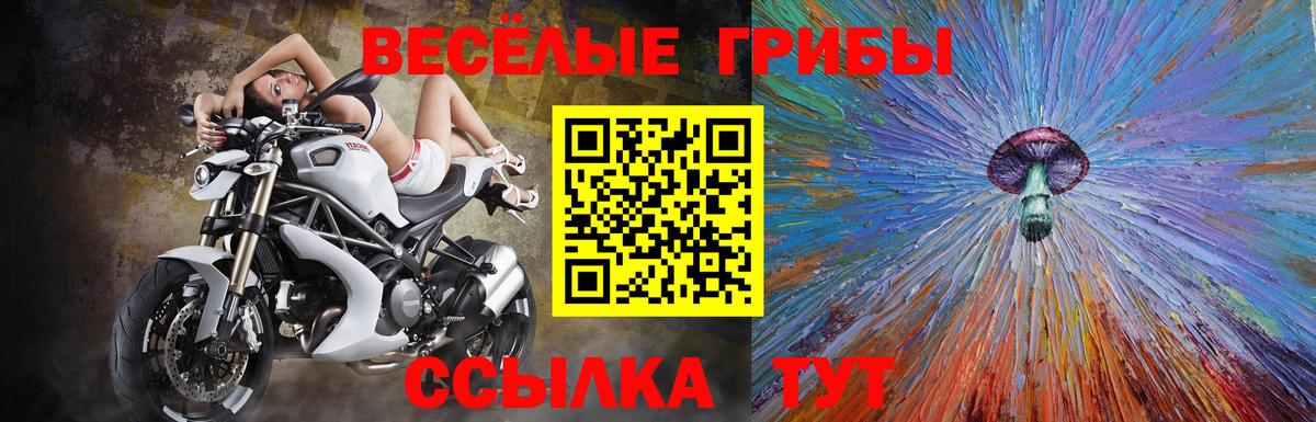 Шебекино  где купить наркоту  Вход с VPN  Псилоцибиновые грибы GOLDEN TEACHER 